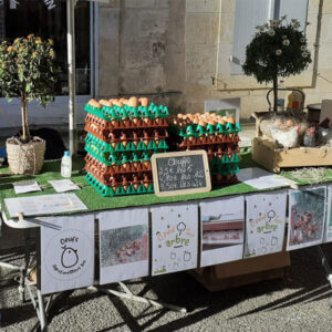marche-macau-oeuf-poule