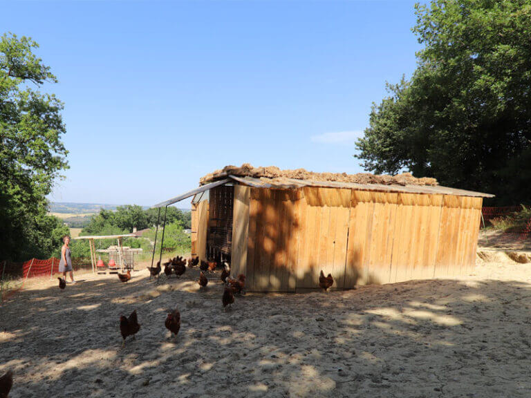 poule-cabane
