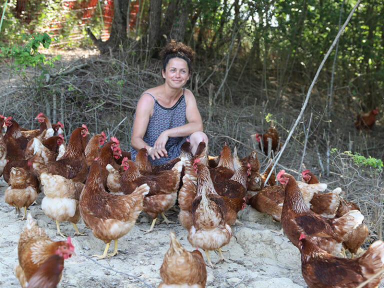 geraldine-acau-elevage-agroforestier-poules